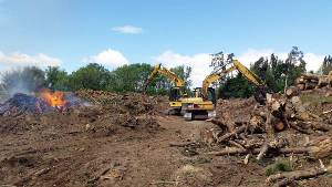 stump removal