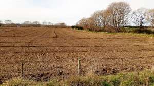 cattle and sheep yards, farm services